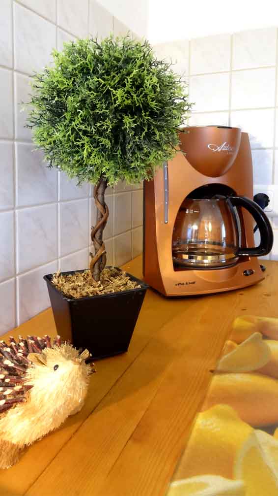 Pension Seiffen Kche